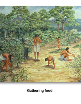 Indians How They Worked 03 Gathering Food