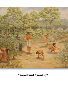 The First Farmers 01 Woodland Farming