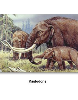What Happened to the Mastodon 001 Mastodons