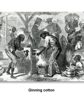 Slaves & Work 01 Ginning Cotton
