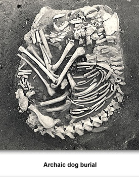 Eva/Icehouse Bottom 02 Archaic dog burial