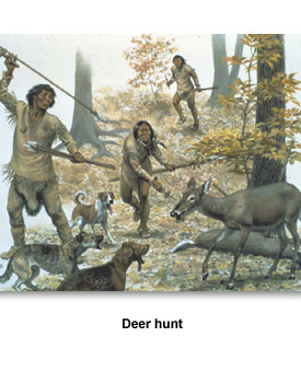 Innovations 02 Deer hunt