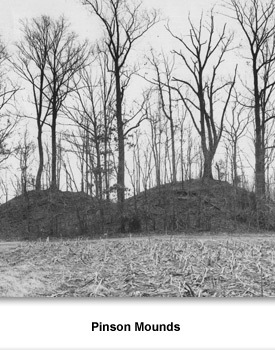 TN Digs 03 Pinson Mounds