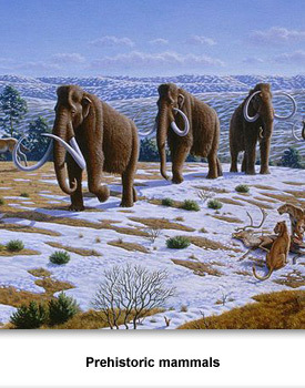 Paleo-Indians 04 Prehistoric Mammals
