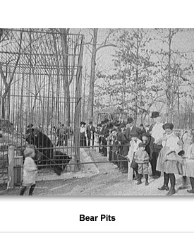 Confront Parks 05 Bear Pits