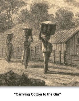 Jackson Slavery 04 Carrying Cotton