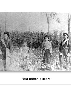 Confront Farming 05 4 Cotton Pickers