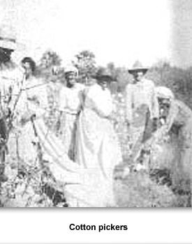 Confronting Racial 08 Cotton Pickers