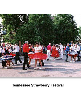 Festival 10 Strawberry Fest