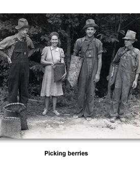 For Farmers 05 Berry pickers
