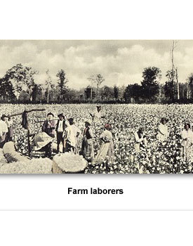 Voting 02 Farm laborers